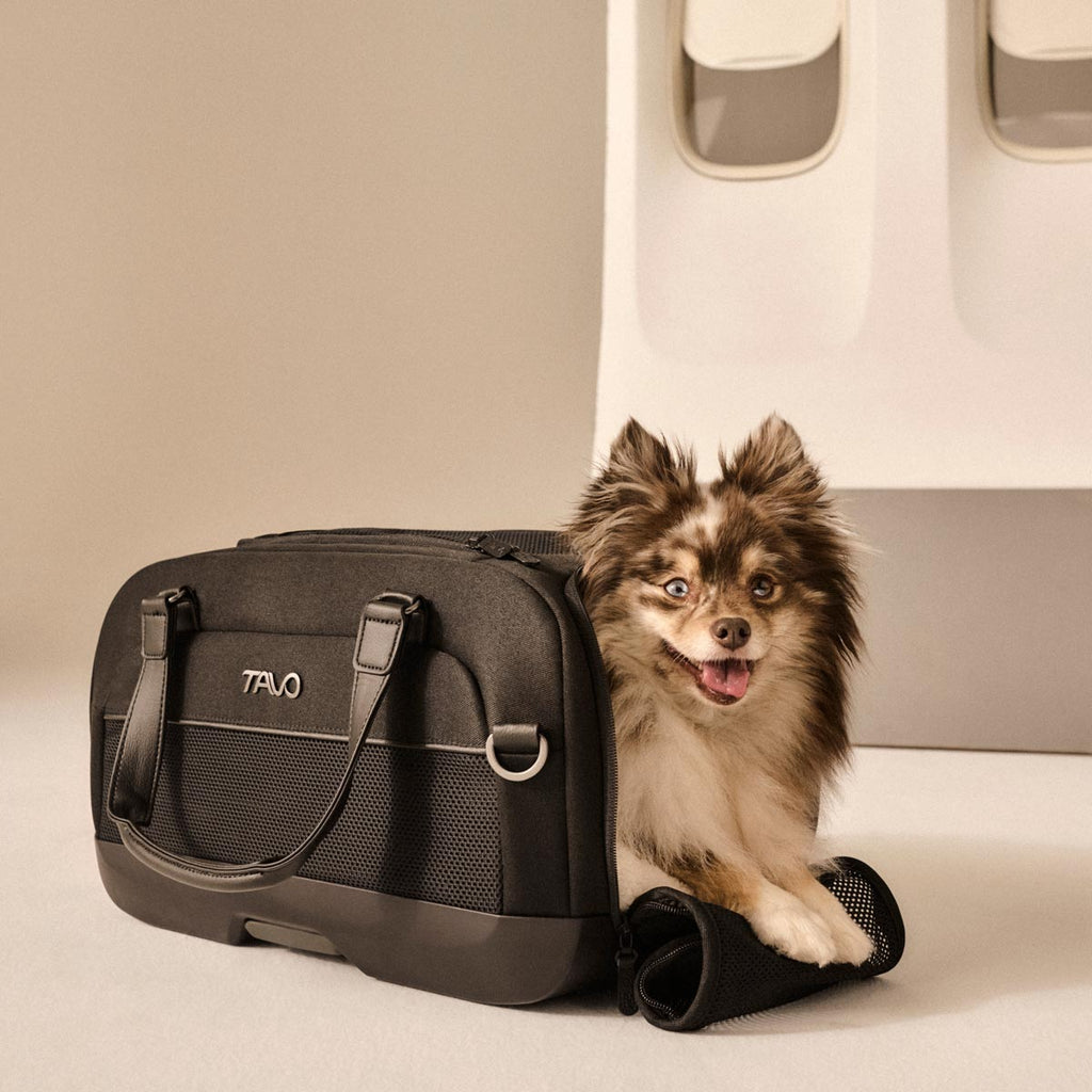 Tavo Pets by Nuna - Dupree™ - Airline Carry-on Pet Car Seat-Tavo Pets-|-Onyx-Posh Baby